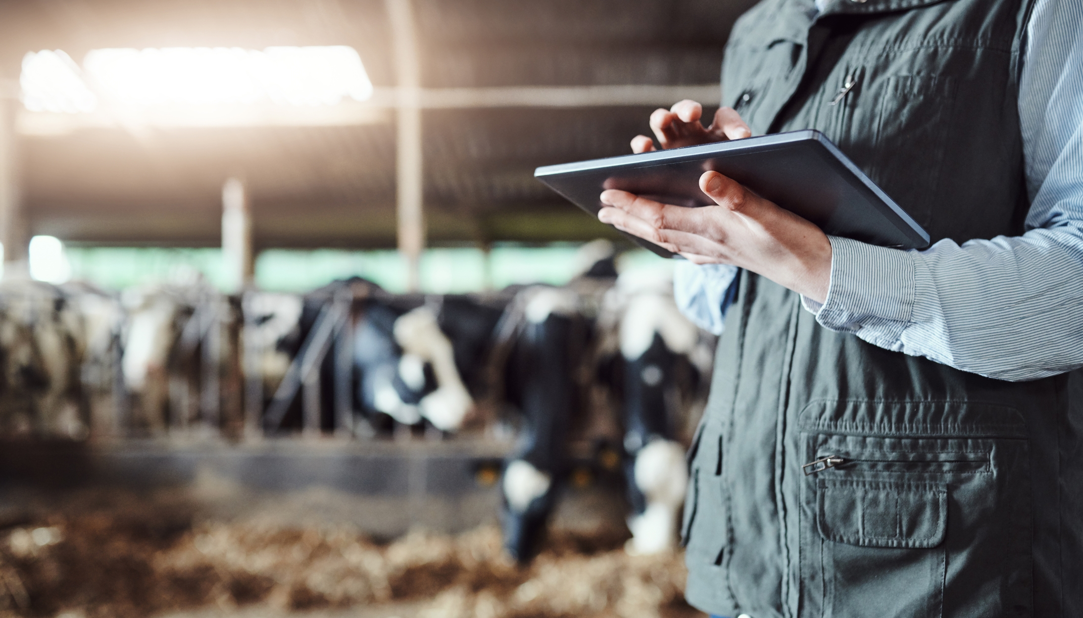 Diploma Attendant Operator (Dairy)