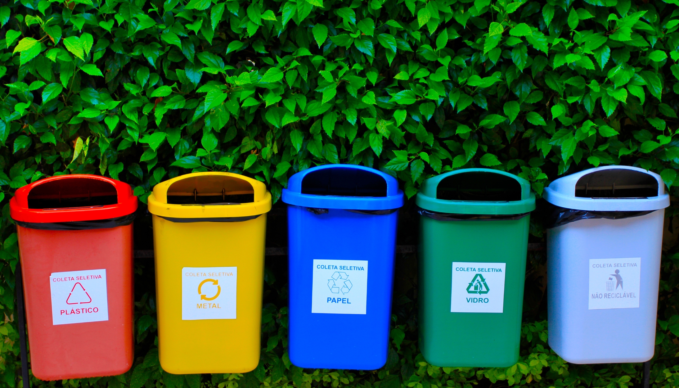 Diploma in Hospital Waste Management Assistant
